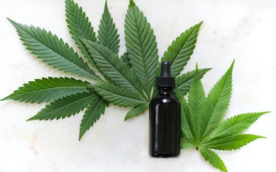 Exploring the Remarkable Benefits of CBD